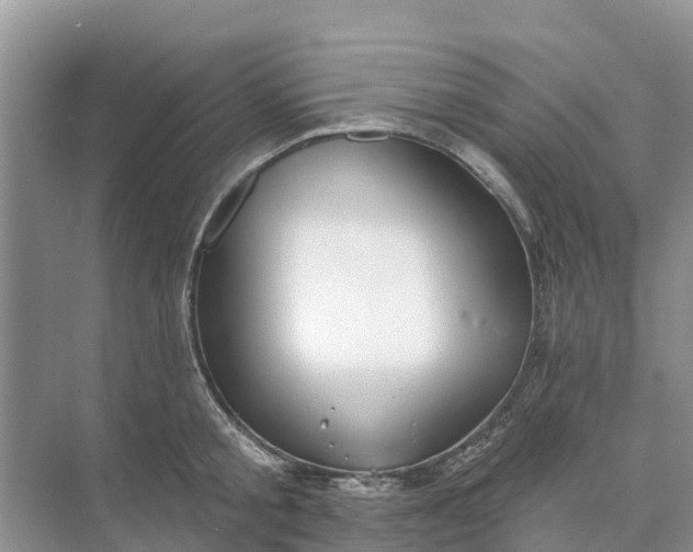 X0000074960805200609152055