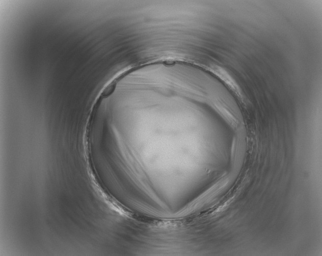 X0000074960806200609152055