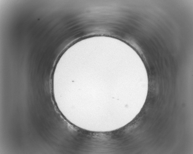 X0000074960807200609152055