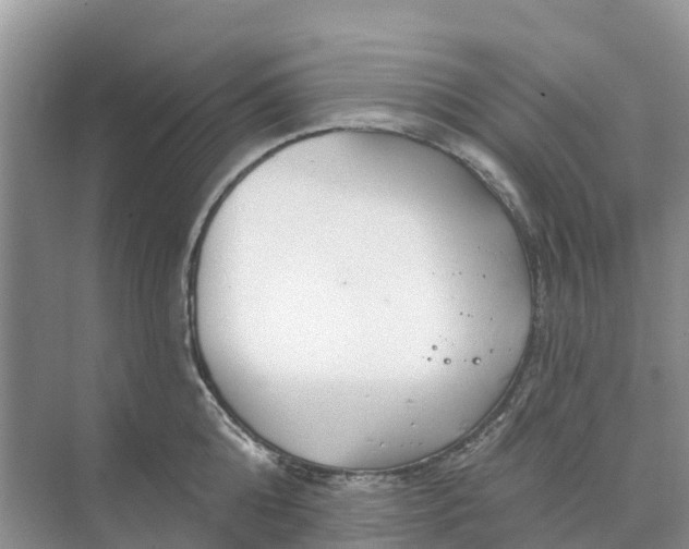 X0000074960808200609152055