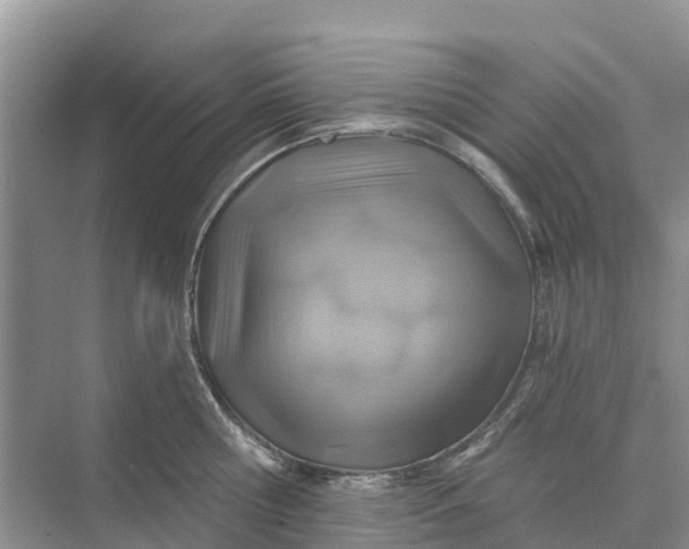 X0000074960810200609152055