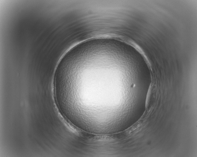 X0000074960811200609152055