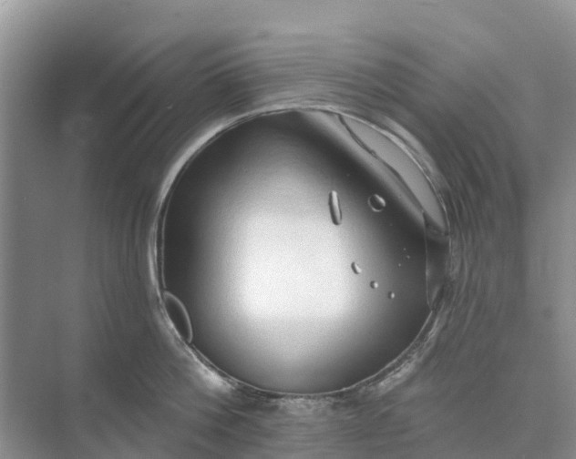 X0000074960812200609152055