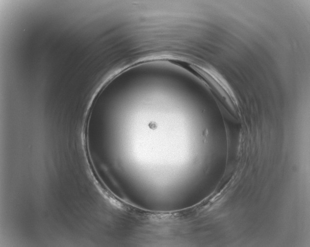 X0000074960813200609152055