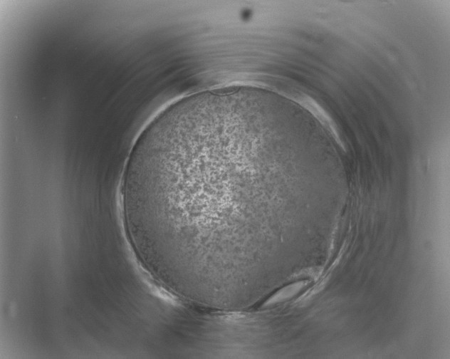 X0000074960814200609152055