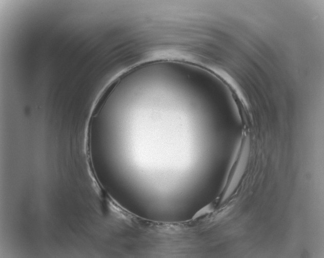 X0000074960815200609152055