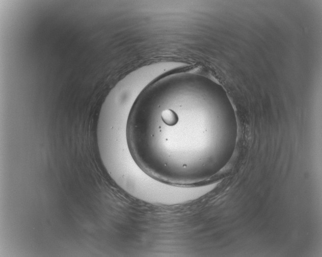 X0000074960818200609152054