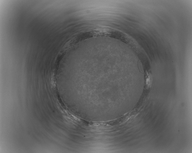 X0000074960819200609152054