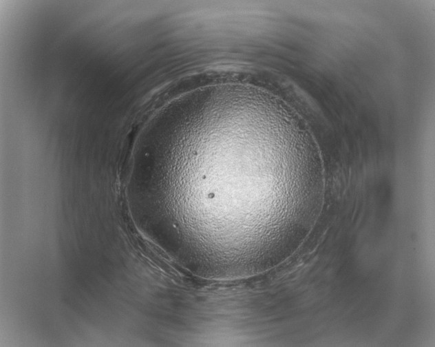 X0000074960821200609152054