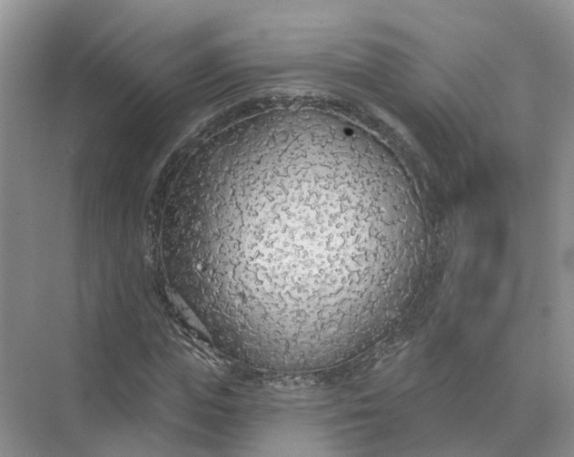 X0000074960823200609152054