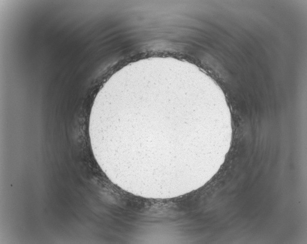 X0000074960824200609152054