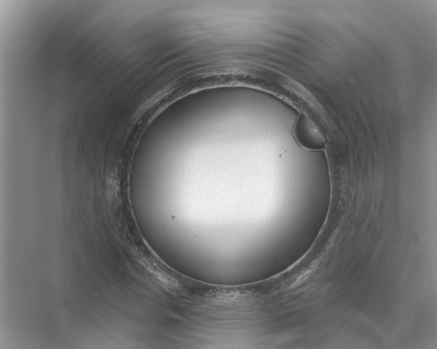 X0000074960826200609152054