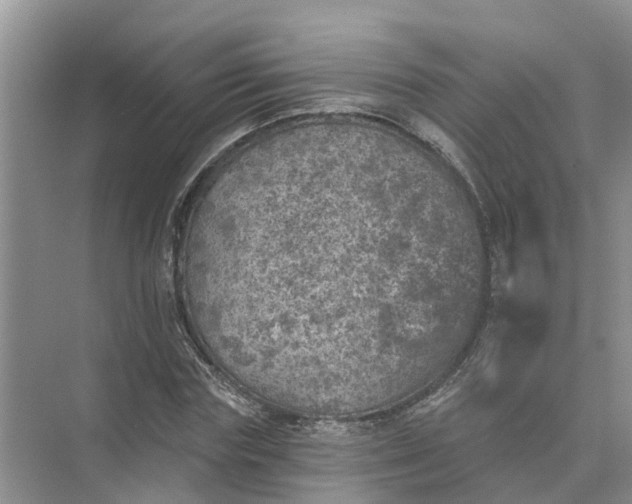 X0000074960827200609152054