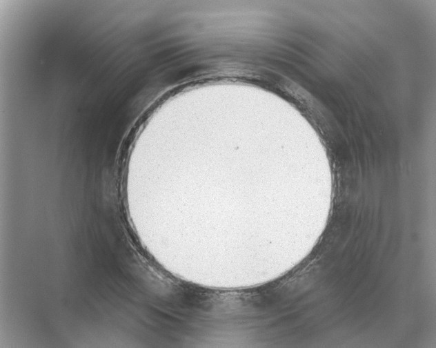 X0000074960828200609152054