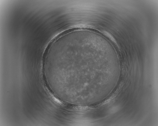 X0000074960831200609152054