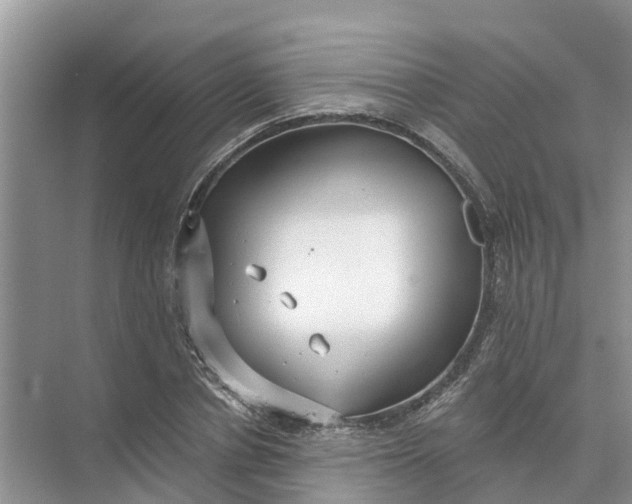 X0000074960834200609152054