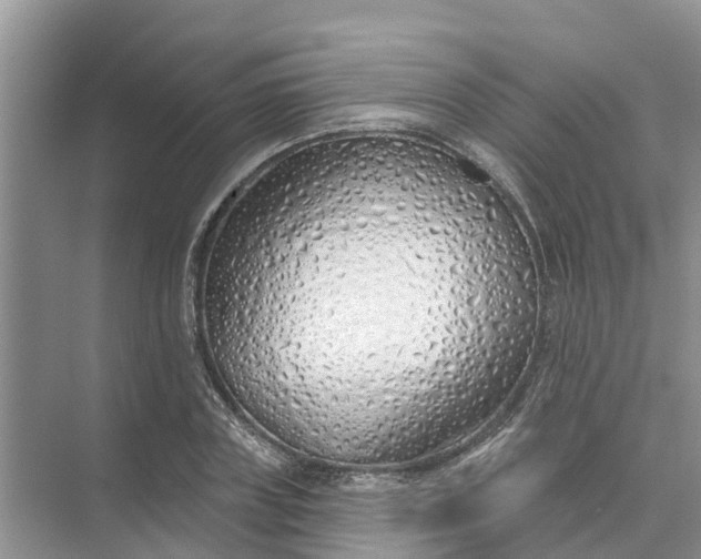 X0000074960835200609152054