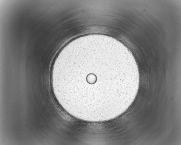 X0000074960836200609152054