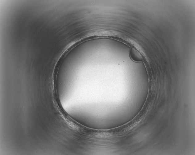 X0000074960837200609152054