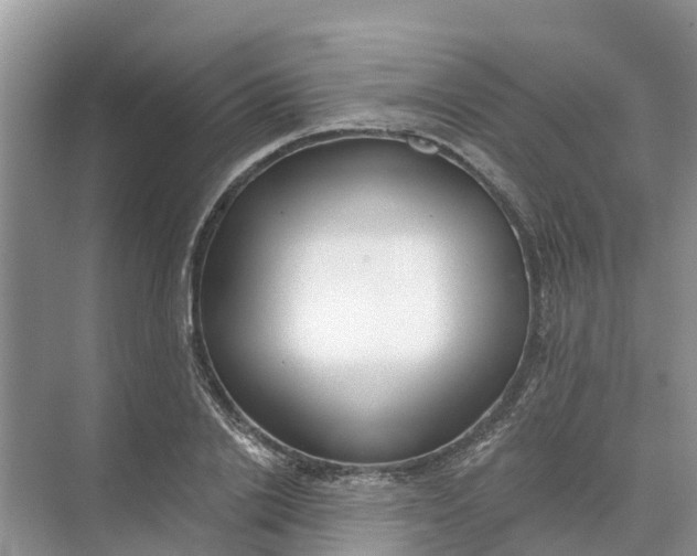 X0000074960838200609152054