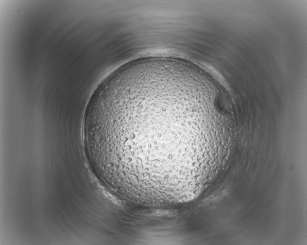 X0000074960839200609152054