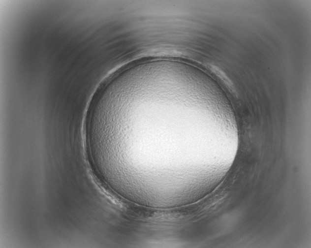 X0000074960840200609152054