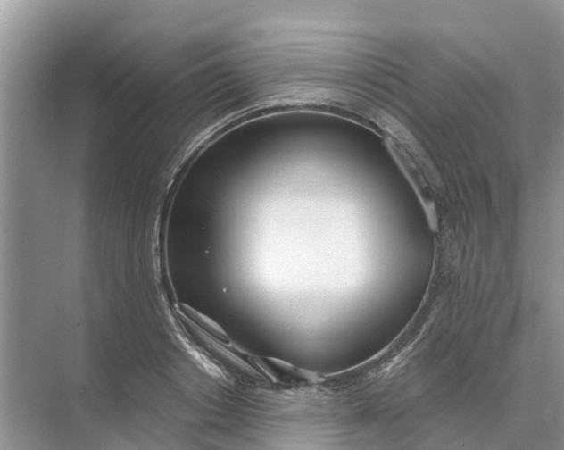 X0000074960842200609152054