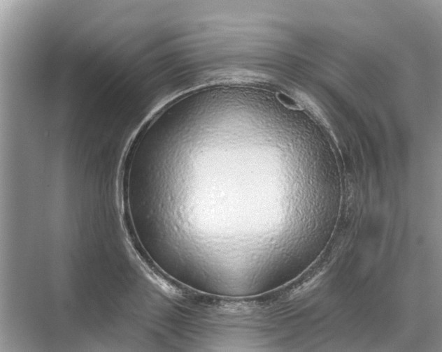 X0000074960843200609152054