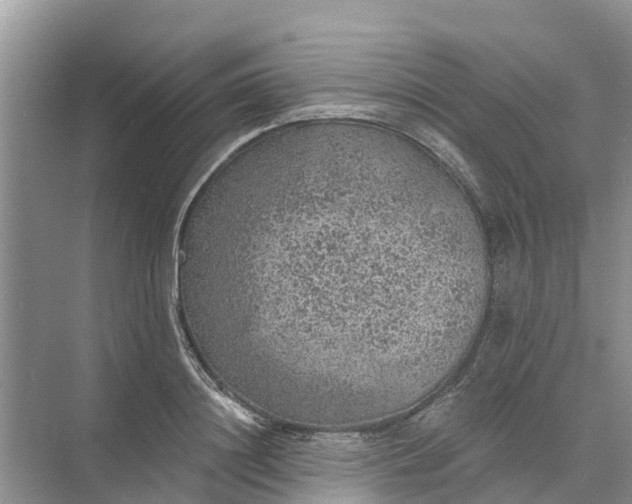 X0000074960844200609152054