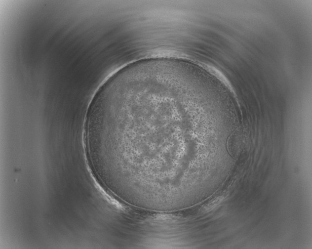 X0000074960847200609152054