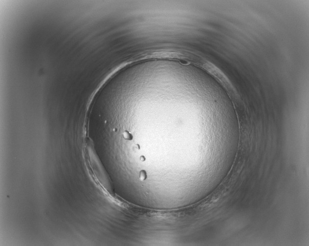 X0000074960852200609152054