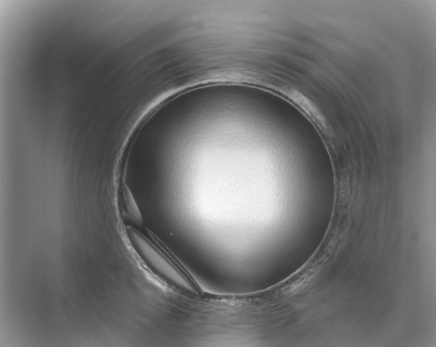 X0000074960854200609152054