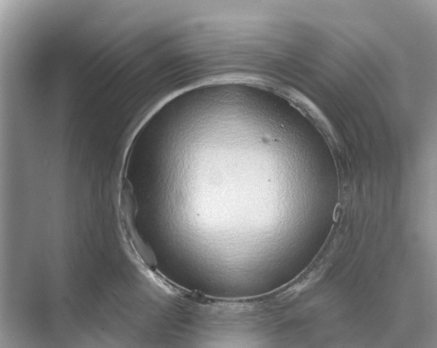 X0000074960860200609152055