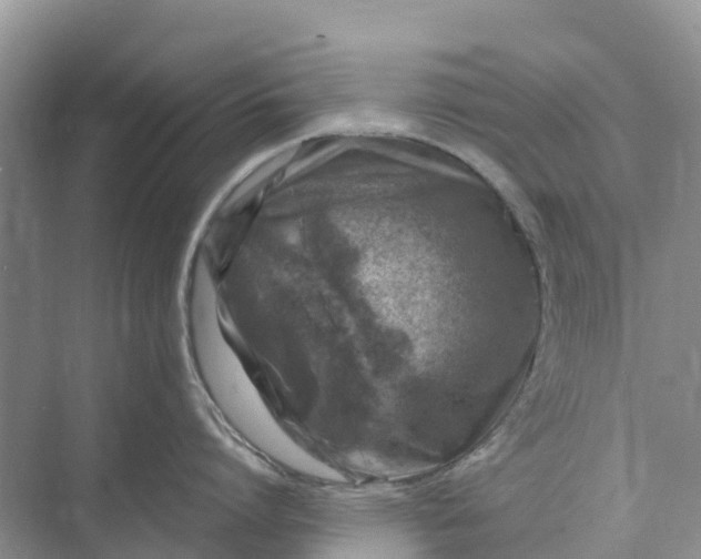 X0000074960864200609152055