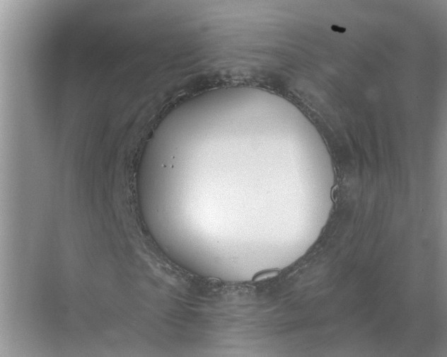 X0000074960865200609152054