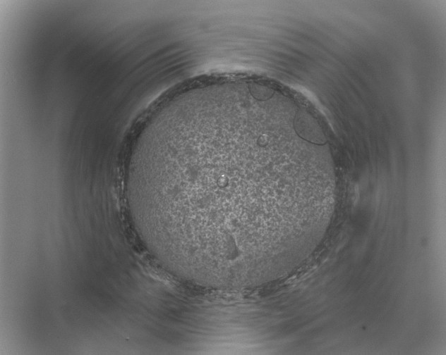 X0000074960871200609152054