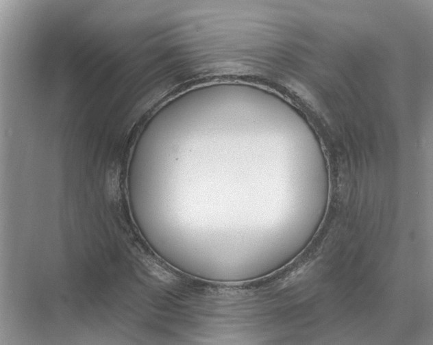 X0000074960873200609152054