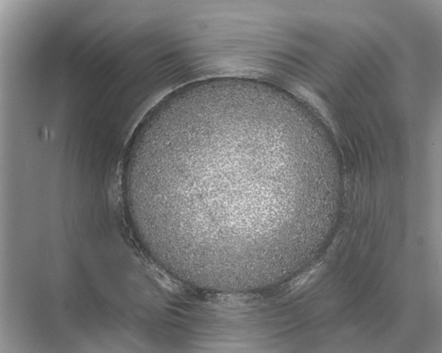 X0000074960875200609152054