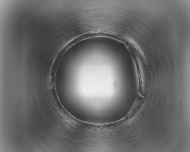 X0000074960876200609152054