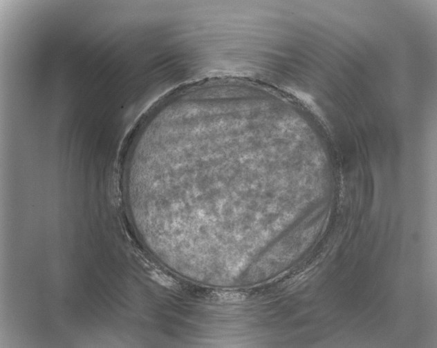 X0000074960878200609152054