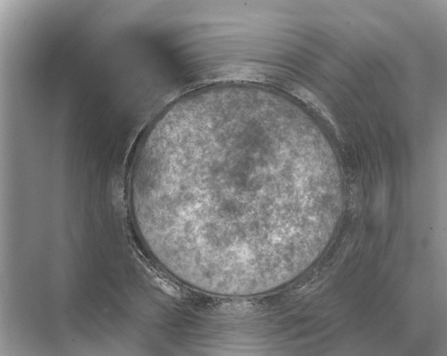 X0000074960882200609152054