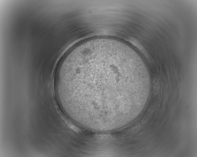 X0000074960886200609152054