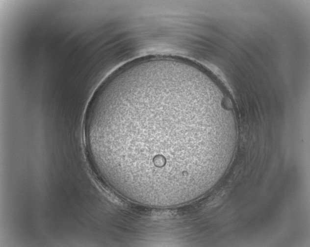 X0000074960887200609152053