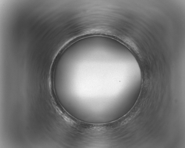 X0000074960888200609152053