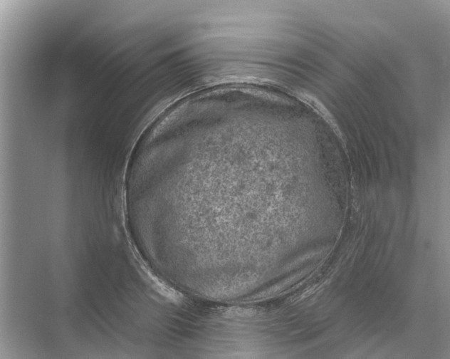 X0000074960890200609152053