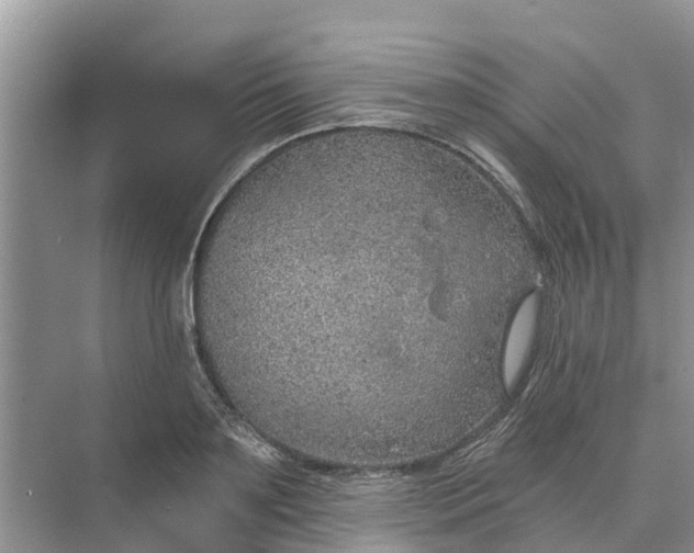 X0000074960891200609152053