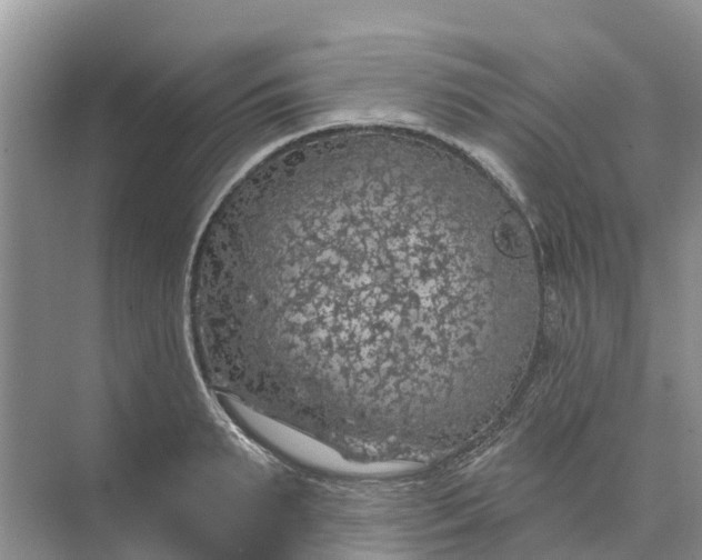 X0000074960895200609152053