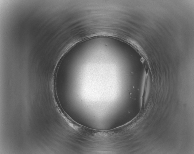 X0000074960898200609152053