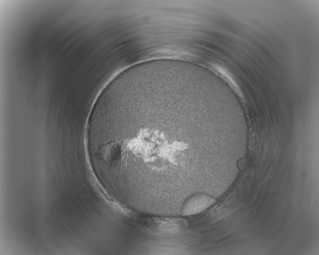 X0000074960899200609152053