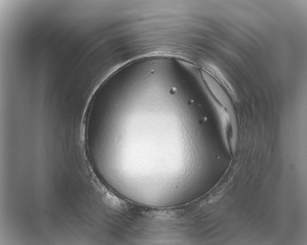 X0000074960900200609152053